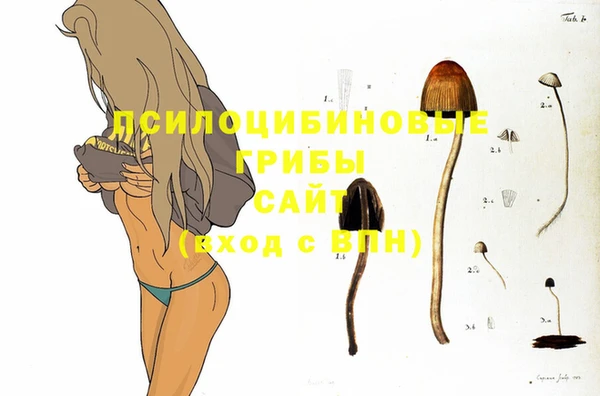 дурь Алексеевка