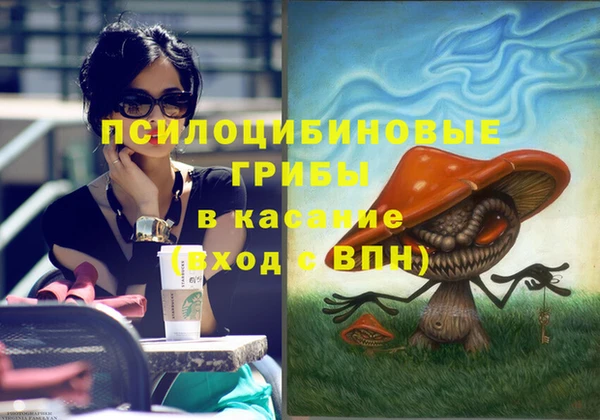 крисы Алексин