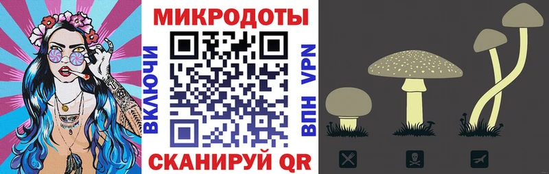 ссылка на мегу зеркало Норильск Псилоцибиновые грибы прущие грибы